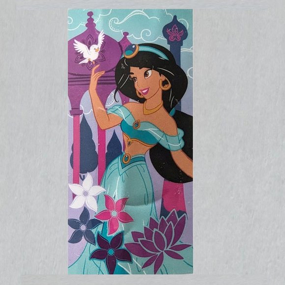 KOHLS Bath Disneys Aladdin Princess Jasmine Kids Beach Towel